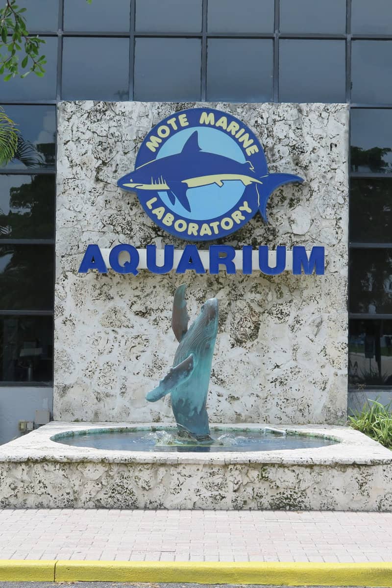 Mote Marine Laboratory & Aquarium at Sarasota Florida