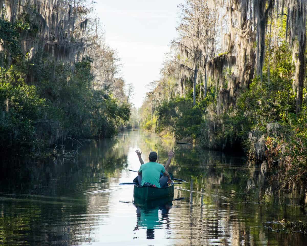 Canoeing along the Suwannee Canal of the Okefenokee National Wildlife Refuge