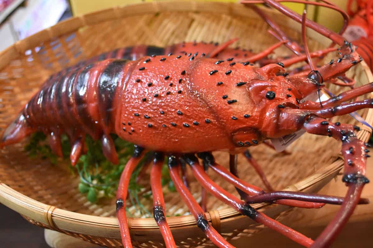 A fresh lobster in a basket