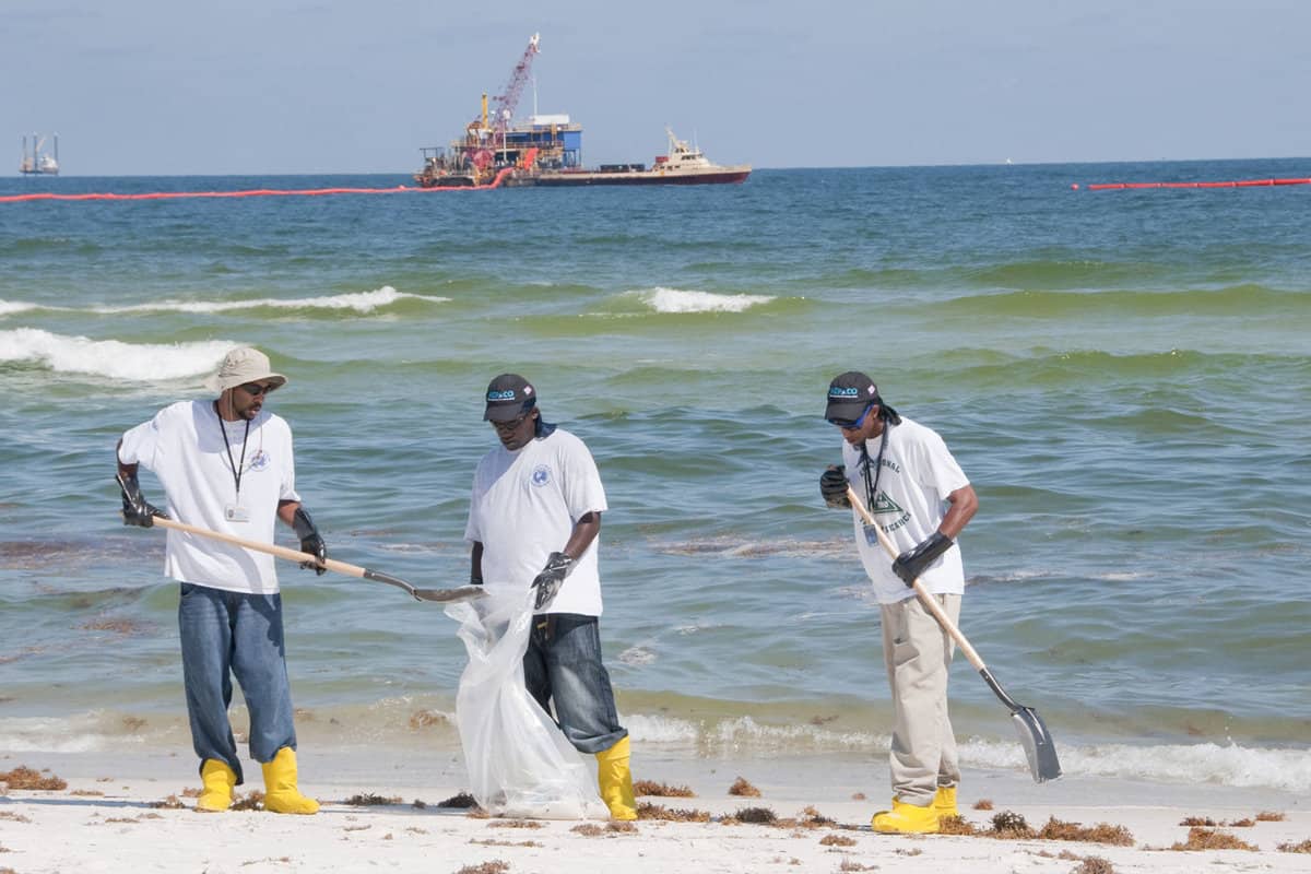 People participating in beach cleanups in Florida