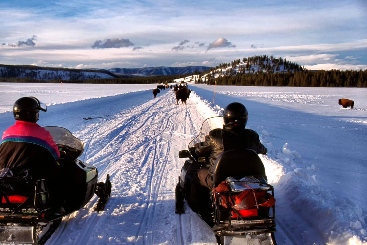 People having fun snowmobiling in Yellowstone National park