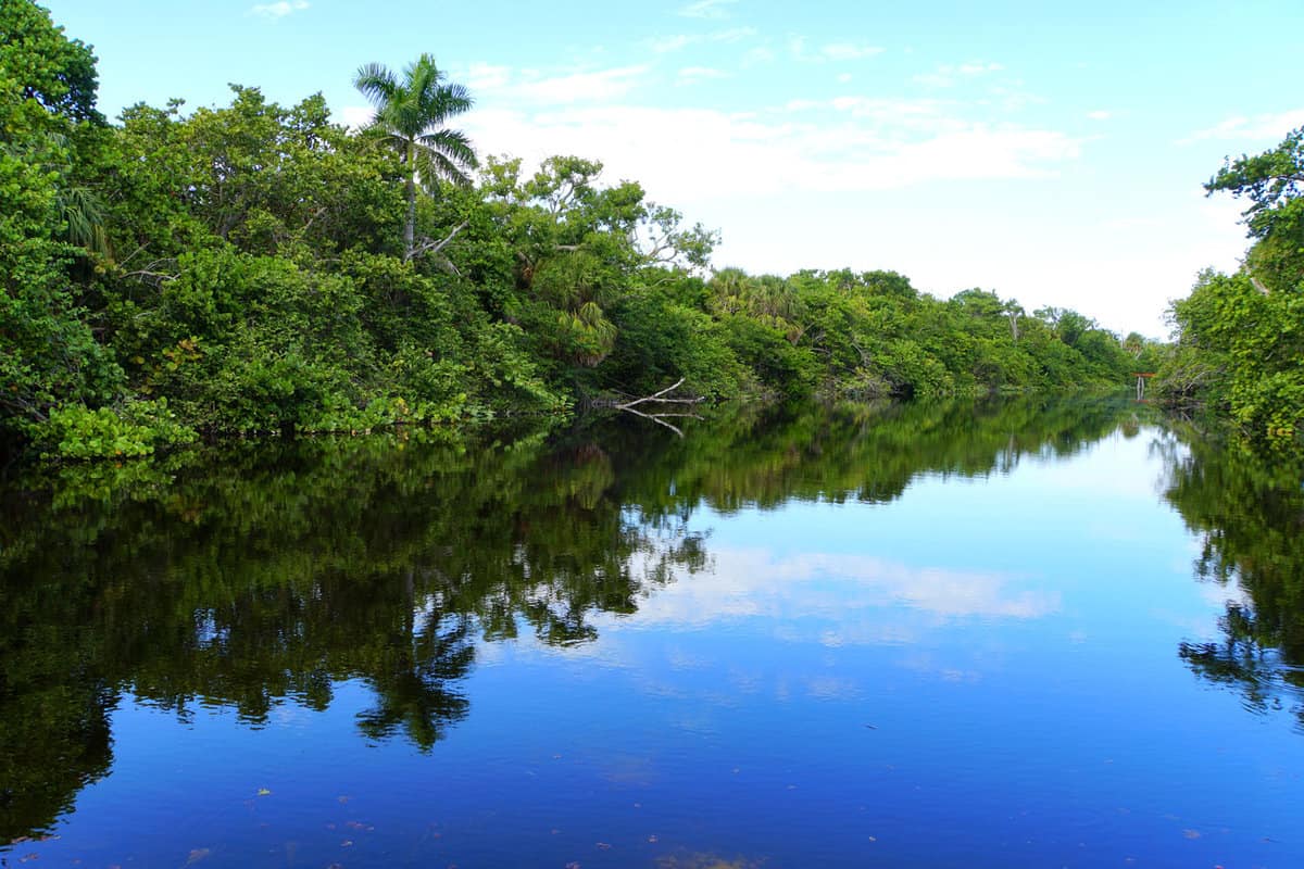 A beautiful pond with green tropical trees and blue sky at Hugh Taylor Birch State Park, Fort Lauderdale, Florida, U.S.A
