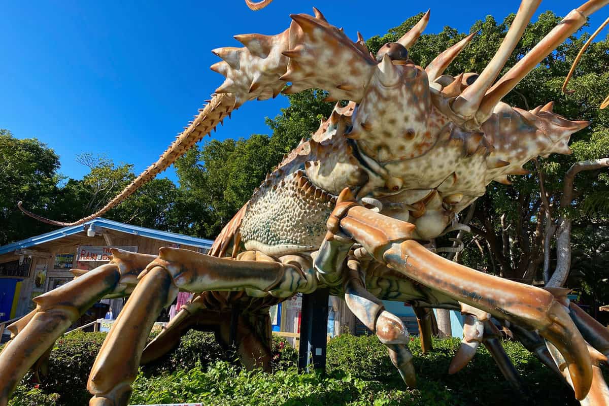 Betsy the Giant Lobster, anatomically correct Florida spiny lobster, made of fiberglass by sculptor Richard Blaze roadside attraction at Rain Barrel Artesian Village.