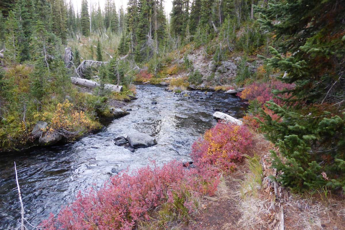 Bechler River Trail in Yellowstone National Park