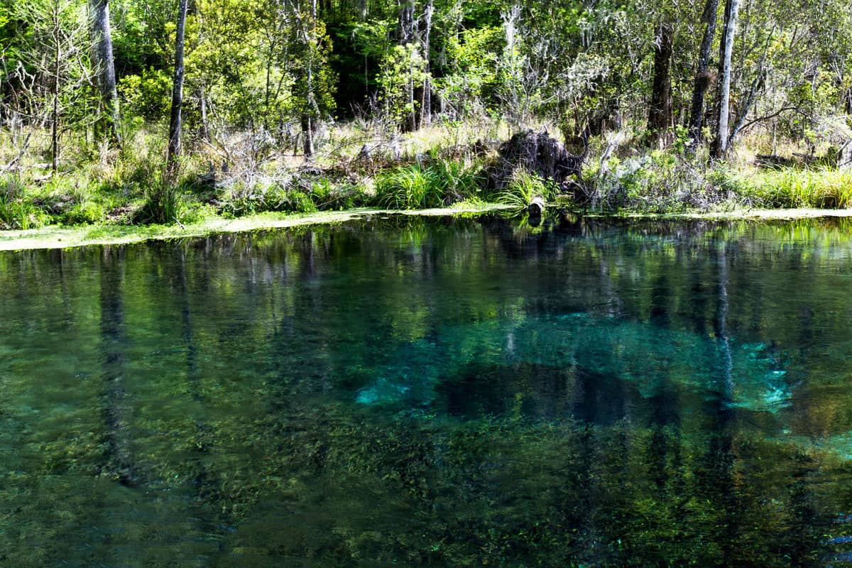 Blue Hole Panograph. The blue Hole is a famous cave diving site in the itichitucknee state park in Florida USA
