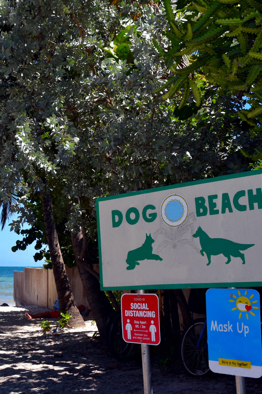Dog Beach, on the Atlantic Ocean in Key West, Florida