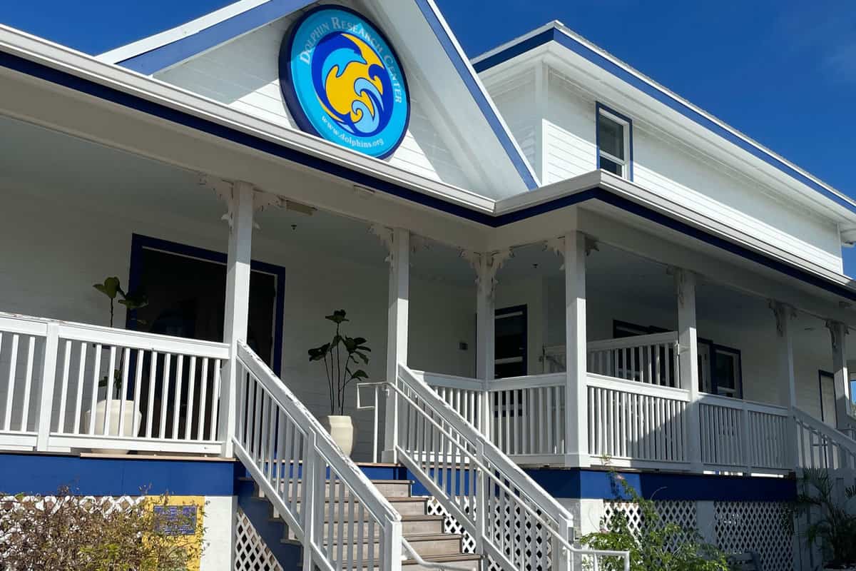 Dolphin Research Center on Marathon Key in the Florida Keys