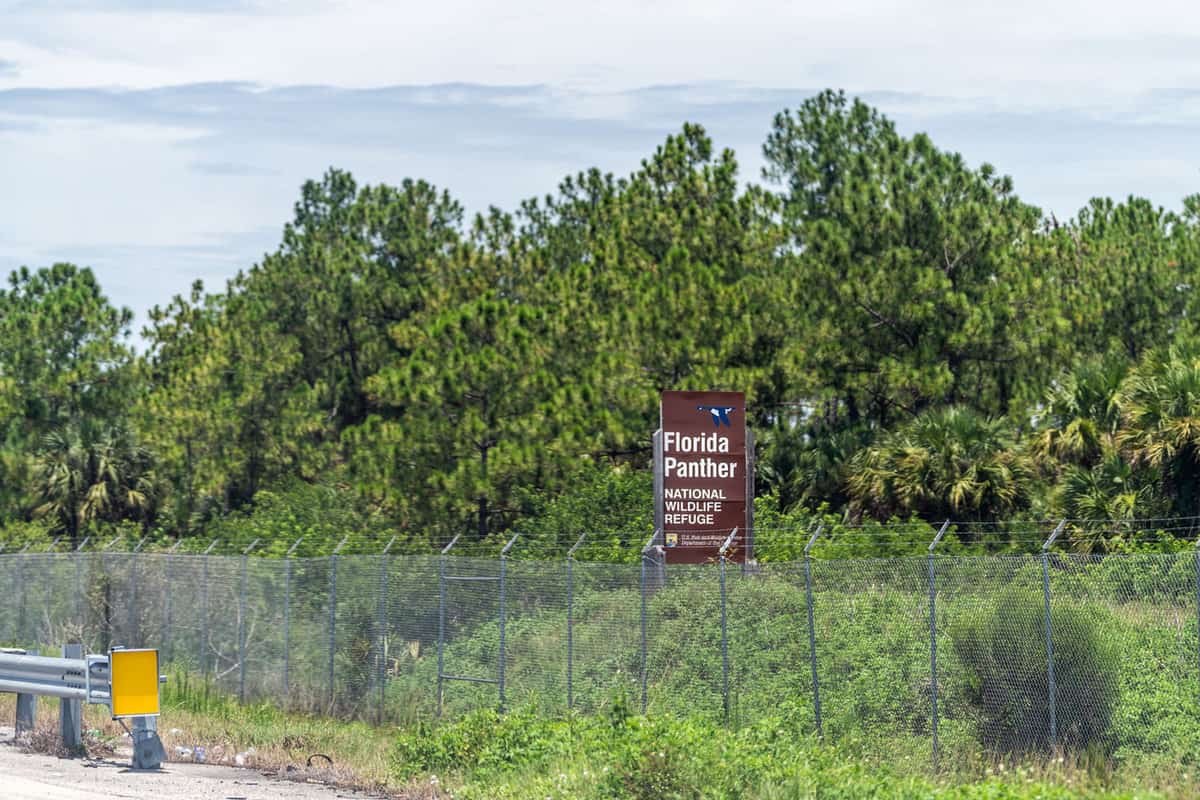  Sign for Florida Panther National Wildlife Refuge in Everglades National