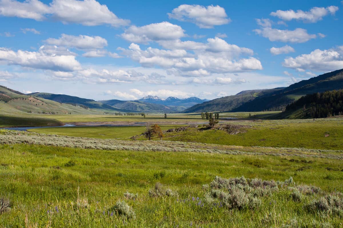 The vast fields of Lamar Valley in Yellowstone National Park