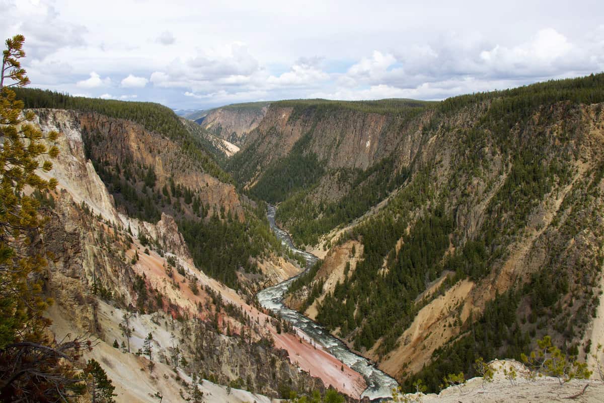 The famous Lookout point showigng the Yellowstone Grand Canyon and river