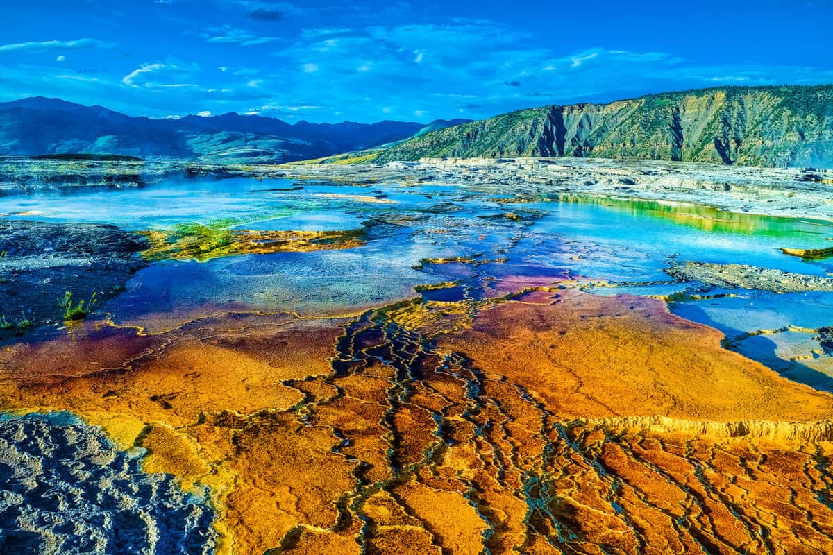 The crystal blue waters of Mammoth hot Springs in Yellowstone National park