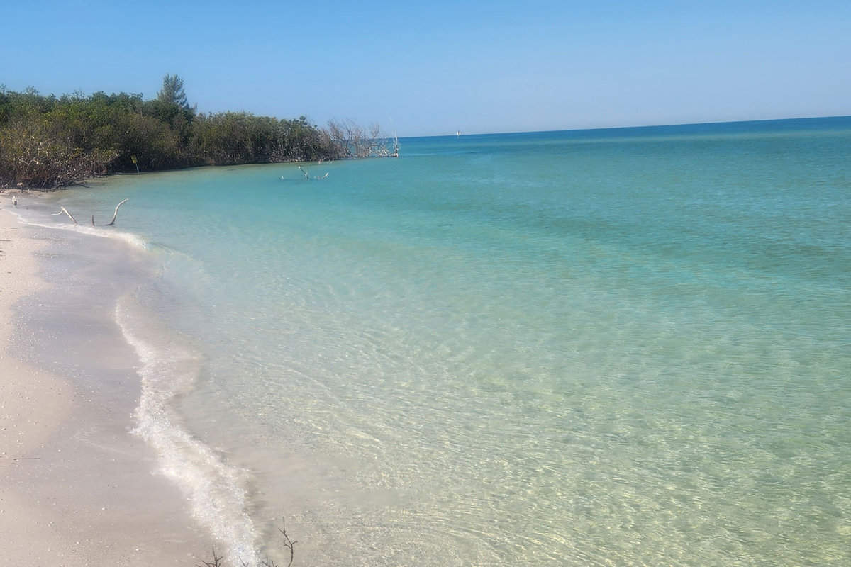 Overlooking the clear blue waters of Shell Key Preserve
