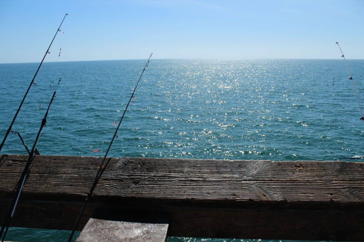 Fishing poles against a railing on a beach pier; illustration of fishing piers concept