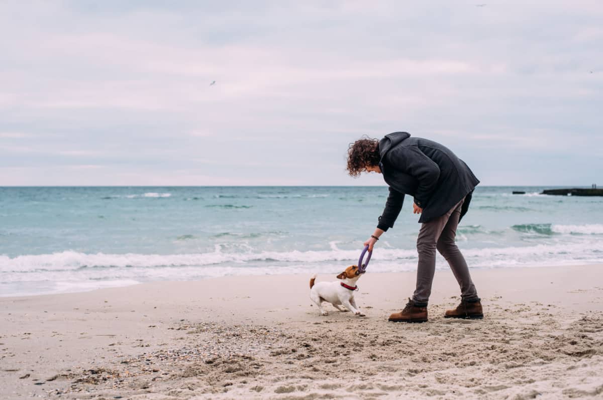 man playing with dog on beach
