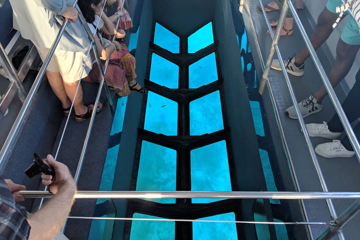View through the bottom of the Fury Glass bottom boat - Fury Water Adventures