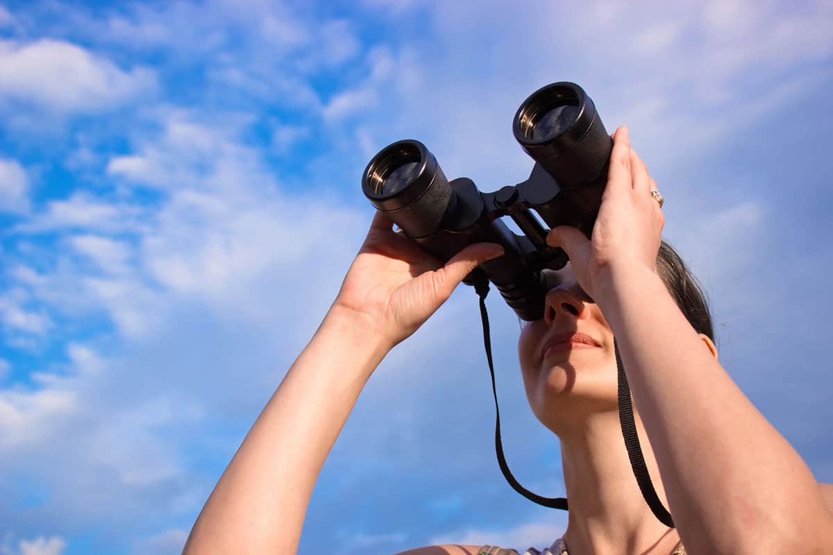 Young woman with binoculars watching birds in nature, Woman with binoculars, photography
