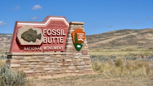 Fossil butte Monument in Yellowstone National Park, A Journey Through Time: 6 Fossil Sites to Explore in Yellowstone - 1600x900