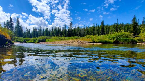 clear skies and the gorgeous crystal-clear blue waters of Yellowstone River