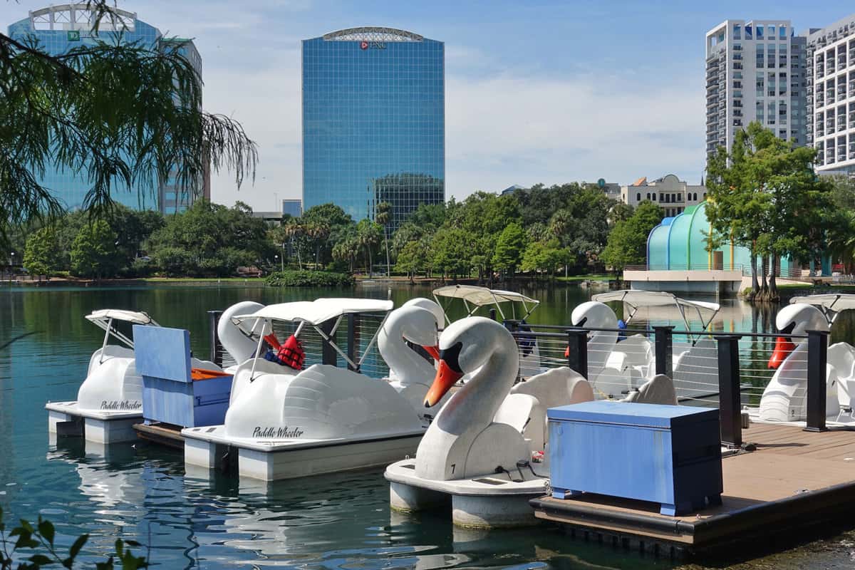 Swan boat rides available in Orlando, Florida