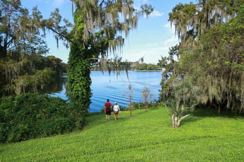 Campsites In Orlando, Florida: Where Adventure Meets Relaxation