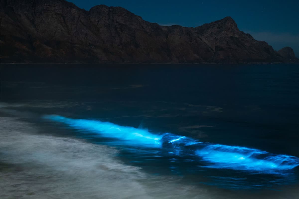 Bioluminescence at the beach photographed at night