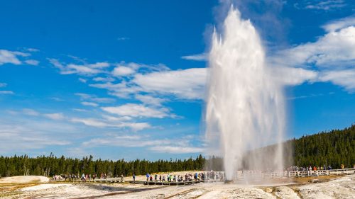 The Top 7 Must-See Geysers in Yellowstone: A Thermal Adventure - 1600x900