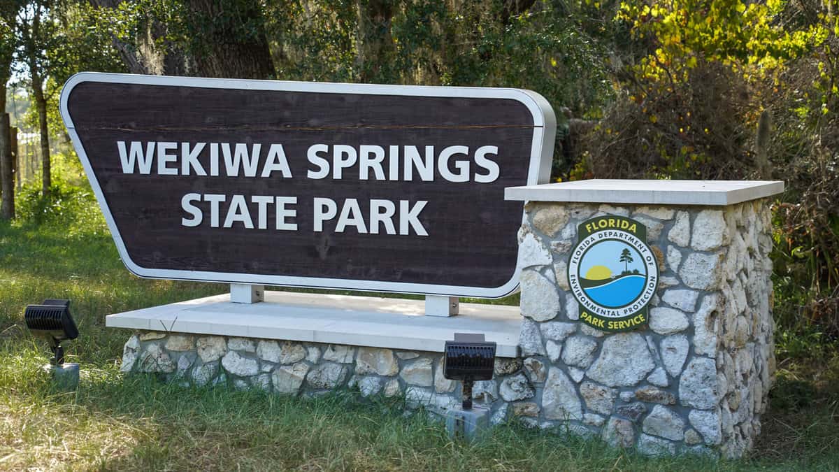 Wekiwa springs state park, 4 Underrated Girls Trips in Florida - 1600x900
