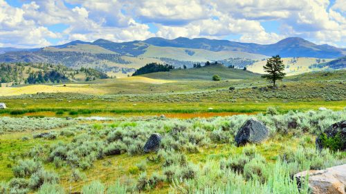 Lamar Valley in Yellowstone National Park, 8 Incredible Day Hikes in Yellowstone That You Can't Miss - 1600x900