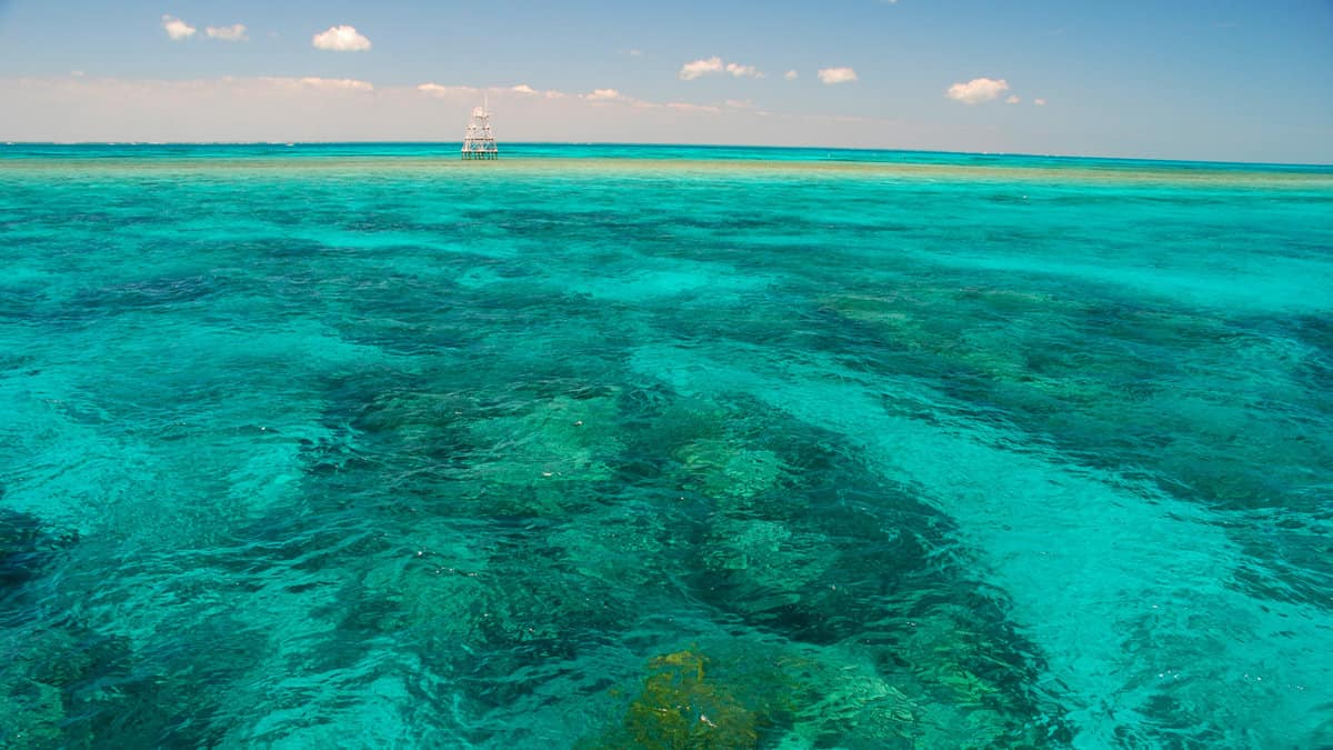Amazing colors of coral reefs in John Pennekamp State Park, Key Largo