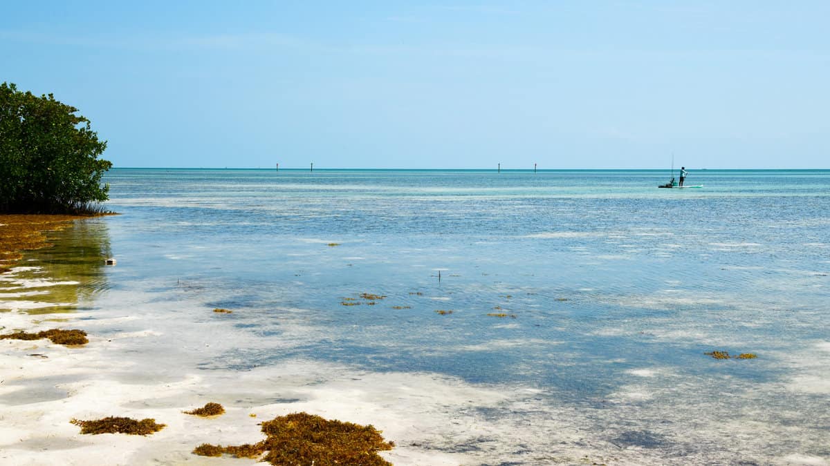 Anne's Beach, Islamorada, Florida Keys