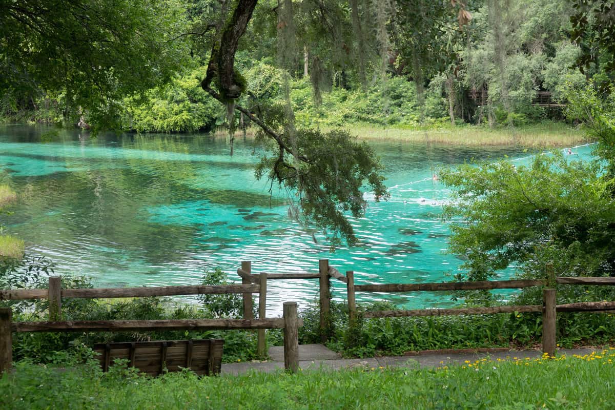Beautiful aqua springs at Rainbow Springs State Park on a summer day
