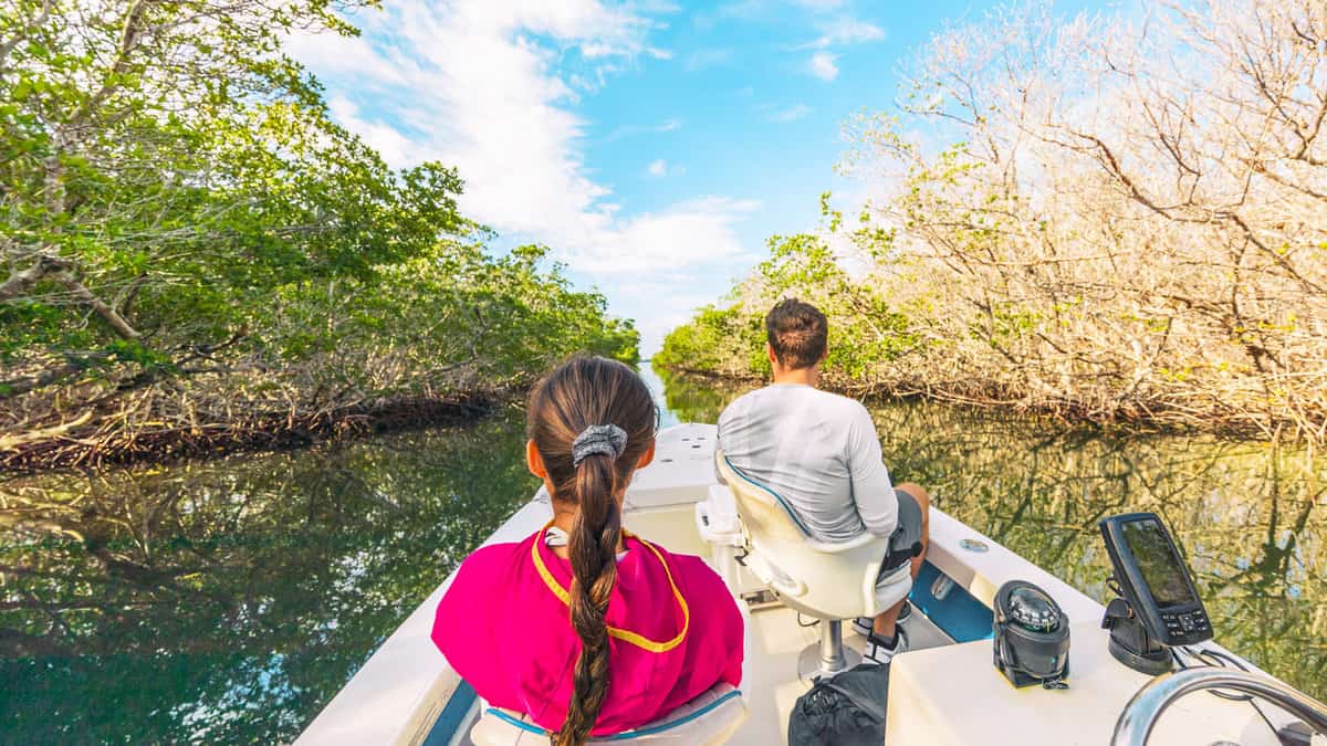 Boat tour in the Everglades, Florida, USA