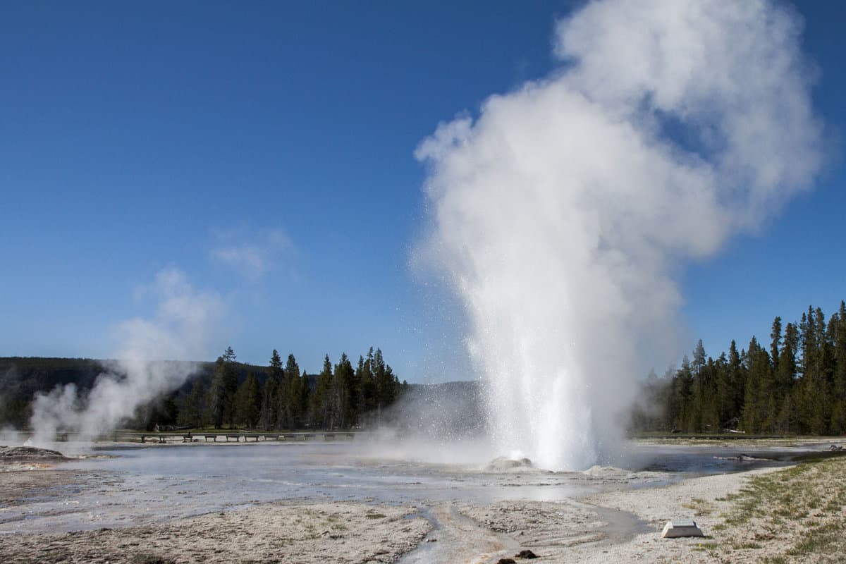 Huge water coming out from Daisy Geyser