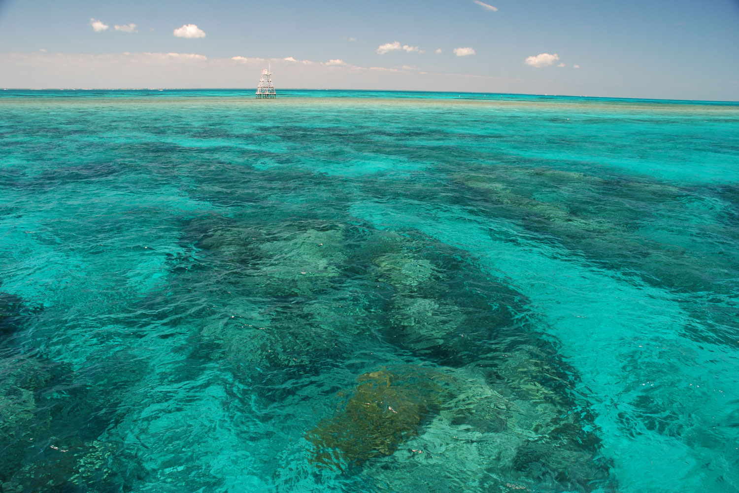 Crystal clear blue water of John  Pennekamp Coral Reef State Park