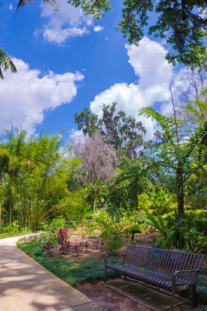 The gorgeous Leu Gardens in Orlando