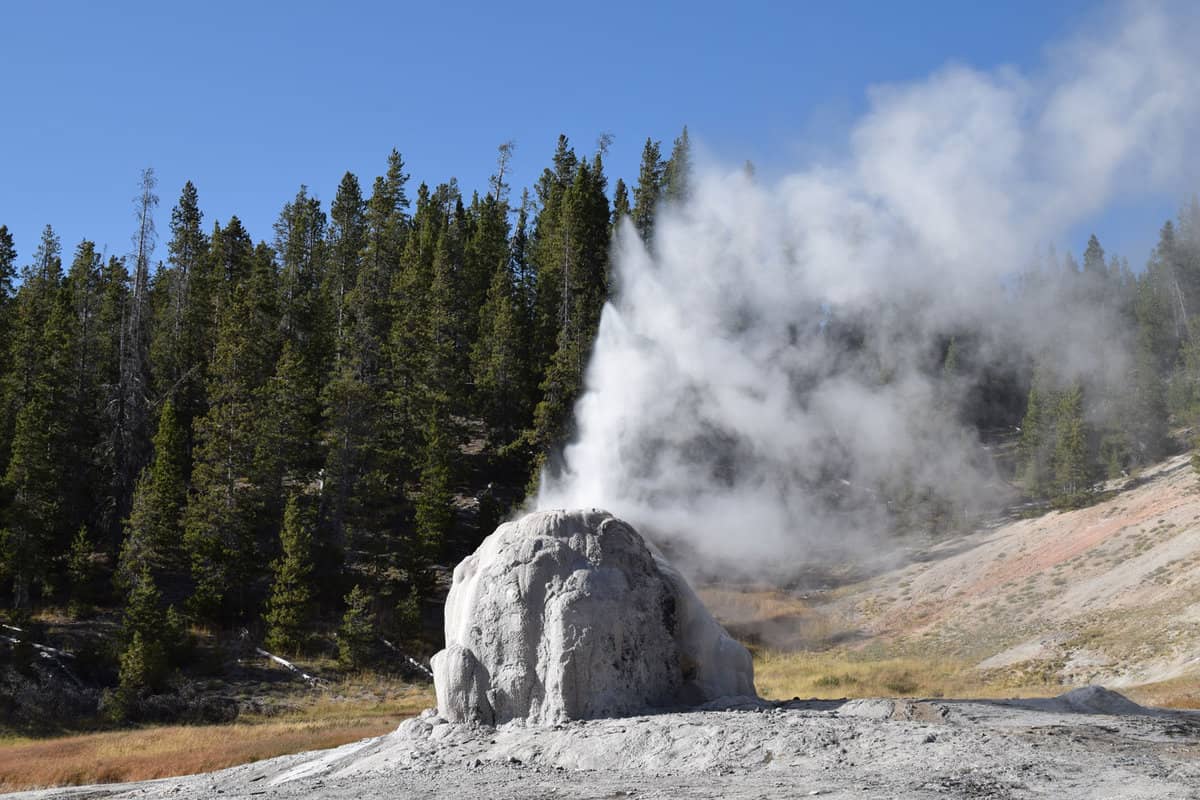 Steam coming out from Lone Star Geyser