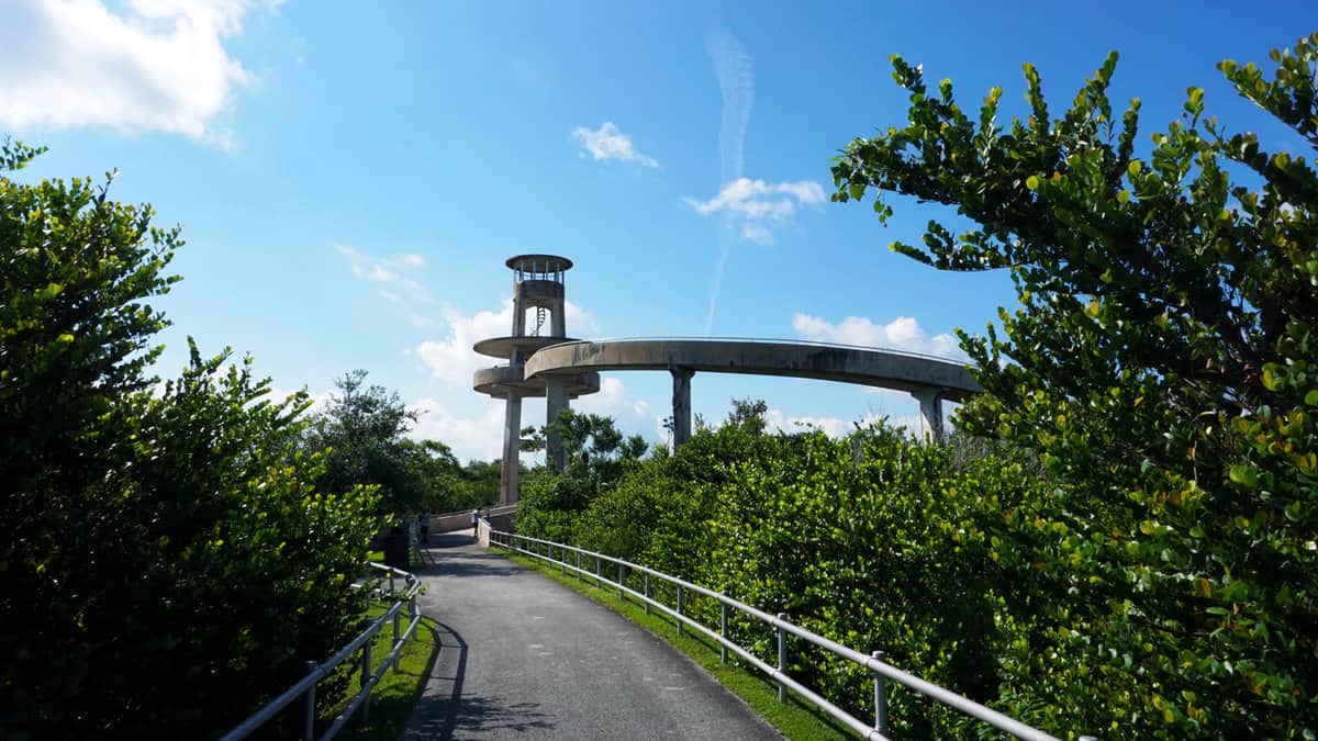 Observation Tower at Shark Valley Park near Miami 1600x900