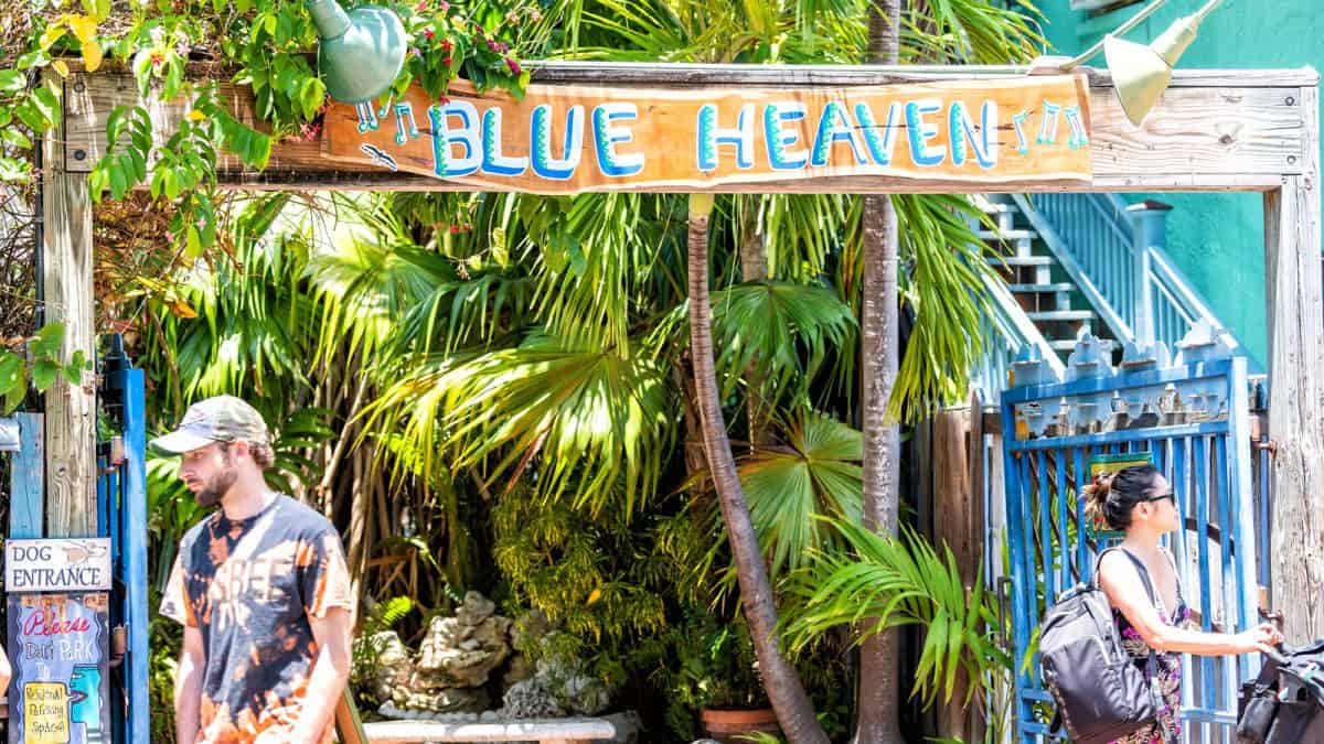 People walking by Blue heaven restaurant, cafe with dog entrance, venue serving caribbean cuisine, palm trees, sidewalk in Florida keys downtown city