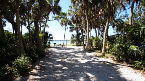 Shady wooded tent camp site in Fort De Soto Park in Pinellas County, Florida on beach and bay 1600x900