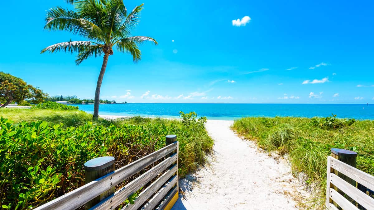 Sombrero Beach with palm trees on the Florida Keys, Marathon, Florida, USA