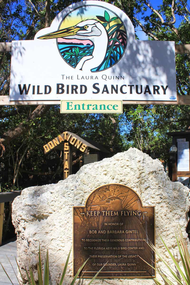 The sanctuary in a part of Florida Keys Wild Bird Rehabilitation Center