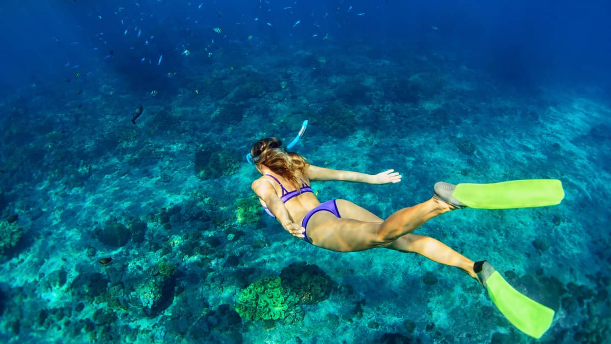 girl in snorkeling mask dive underwater with tropical fishes in coral reef sea pool