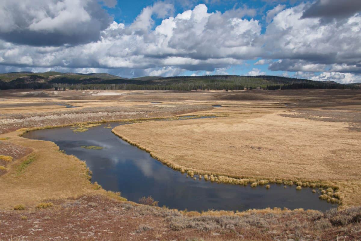 Withered field with a small river on the middle in Pelican Valley Yellowstone National Park