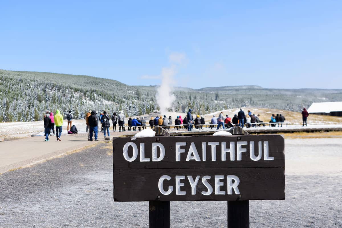 Old faithful geyser in winter