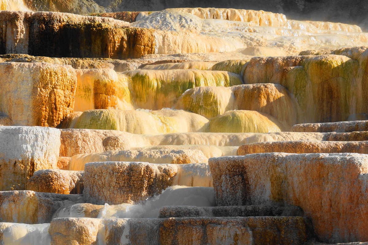 Close up of Mammoth Hot Springs Terrace in morning sunshine