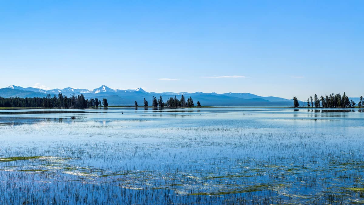 The gorgeous blue waters of- Yellowstone Lake, Yellowstone's Top 7 Family-Friendly Attractions and Activities - 1600x900