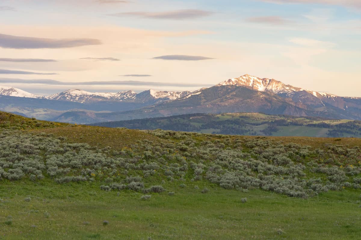 The gorgeous and green pastures of Blacktail Plateau 