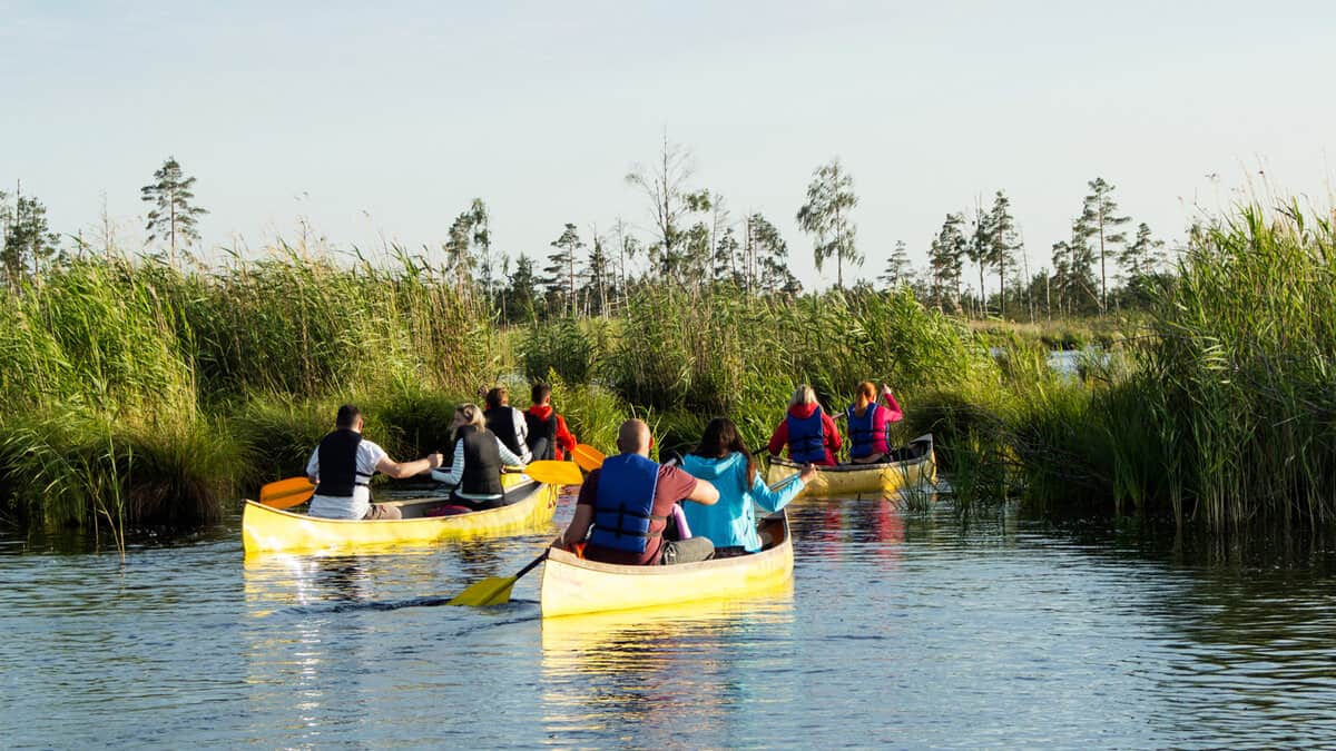 tourists rowing on yellow canoe in everglades national park