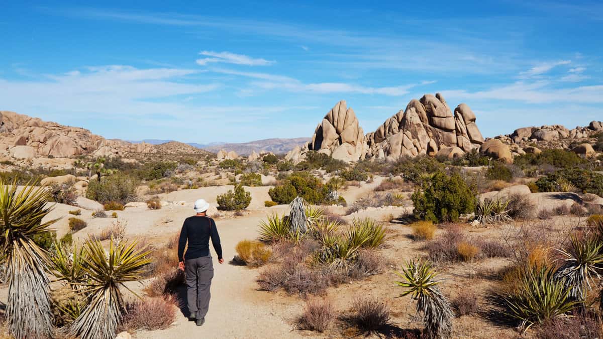 A woman hiking at Joshua Tree National Park in desert