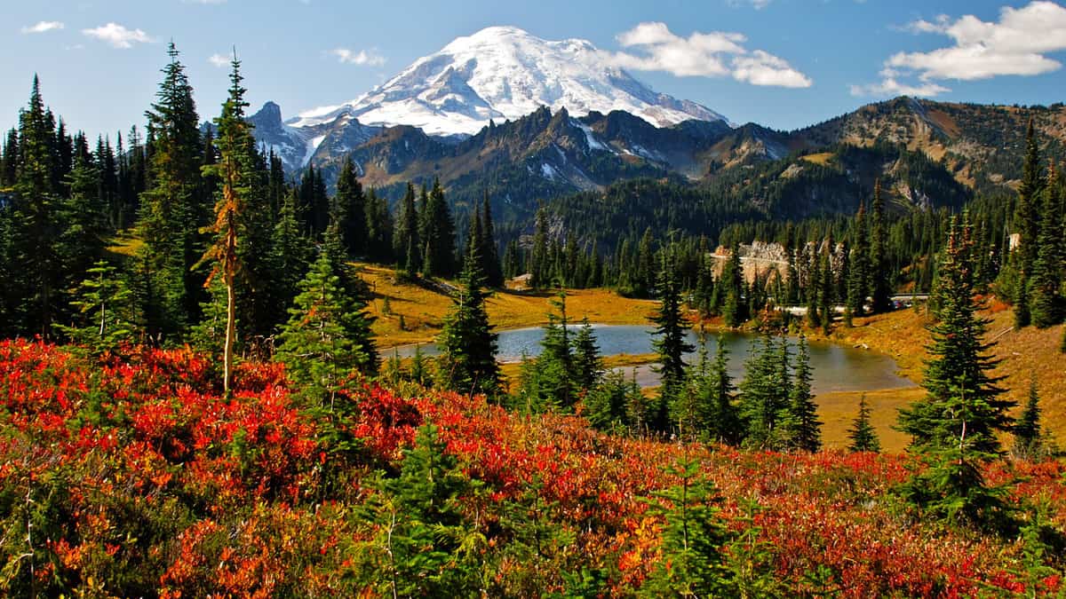Autumn colors in Mt. Rainier National Park
